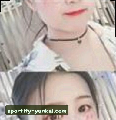 陈磊