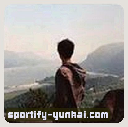 郑敏